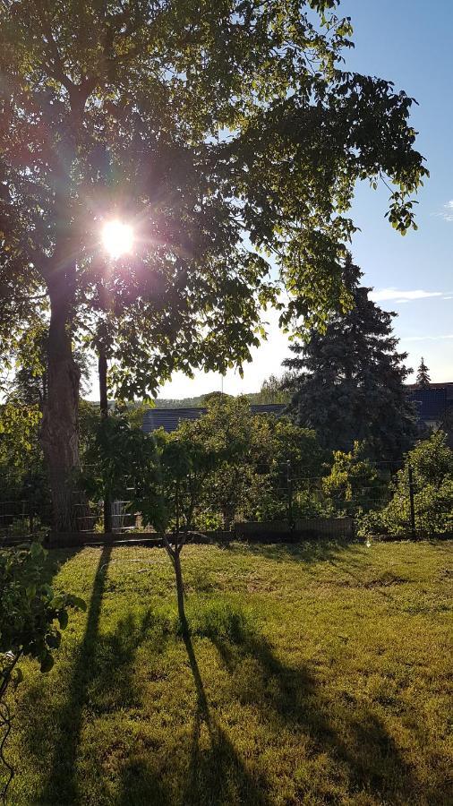 Hébergement de vacances Haus Am Muehlenberg